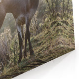 Serene Donkeys at Dawn - Rustic Canvas Art Print for Farmhouse Decor