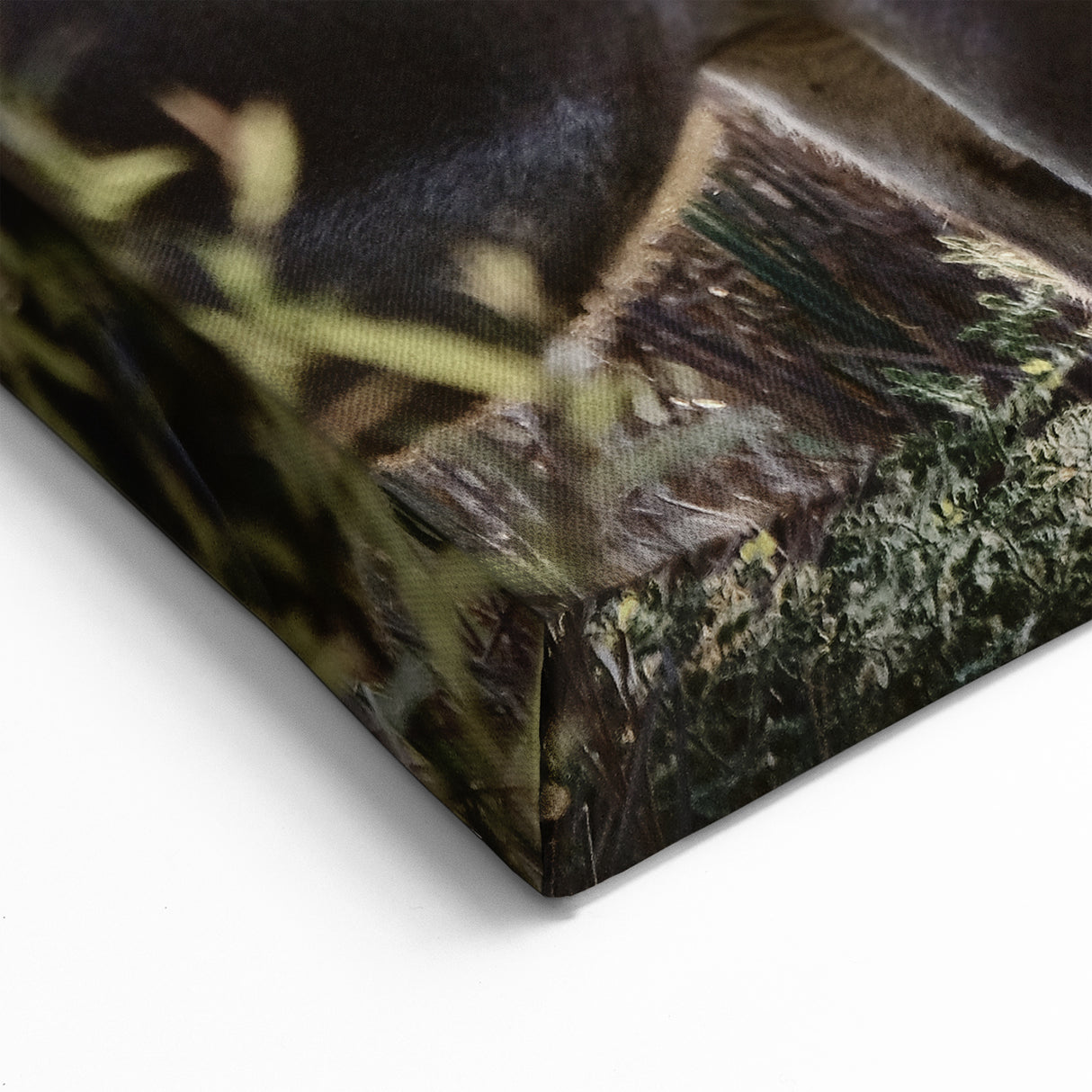 Serene Donkeys at Dawn - Rustic Canvas Art Print for Farmhouse Decor