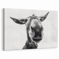Playful Donkey Close-Up - Black and White Canvas Art for Modern Decor