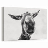 Playful Donkey Close-Up - Black and White Canvas Art for Modern Decor