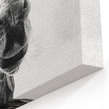 Playful Donkey Close-Up - Black and White Canvas Art for Modern Decor