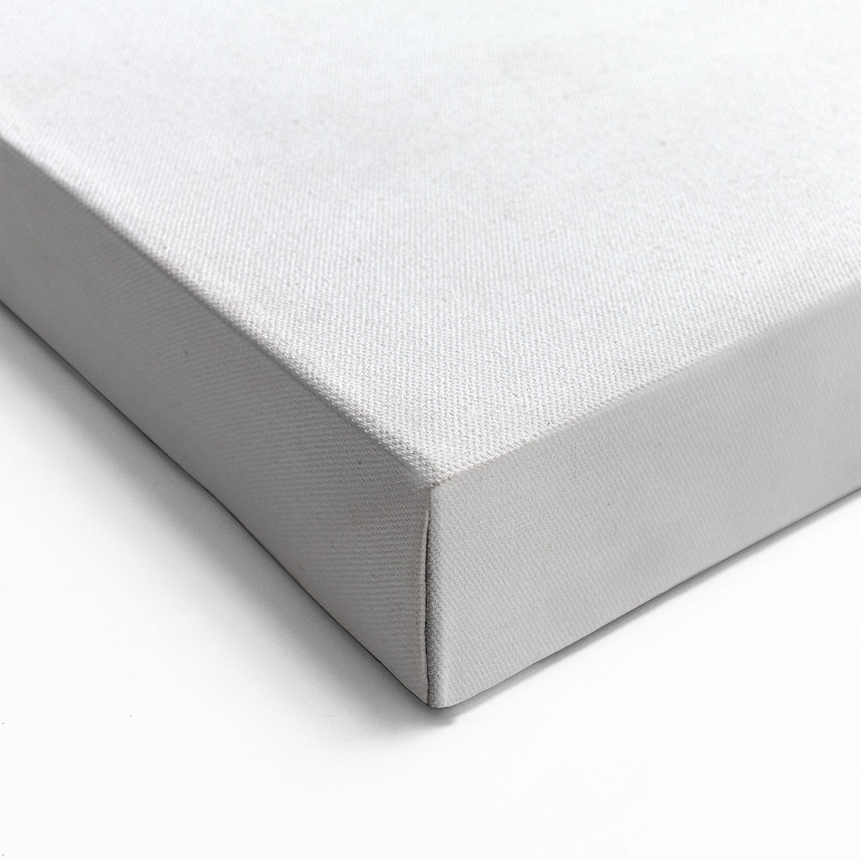 Playful Donkey Close-Up - Black and White Canvas Art for Modern Decor