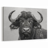 Rainy Day Buffalo Art - Monochrome Bison Canvas Print for Modern Decor