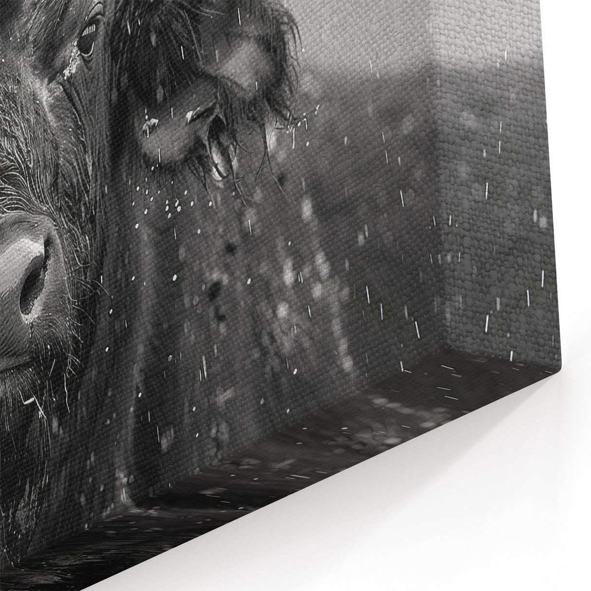 Rainy Day Buffalo Art - Monochrome Bison Canvas Print for Modern Decor