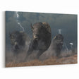 Thunderstorm Bison Art - Dramatic Buffalo Canvas Print for Rustic Decor