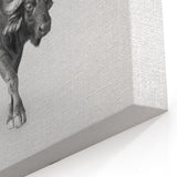 Ethereal Buffalo Art - Monochrome Bison Canvas Print for Modern Decor