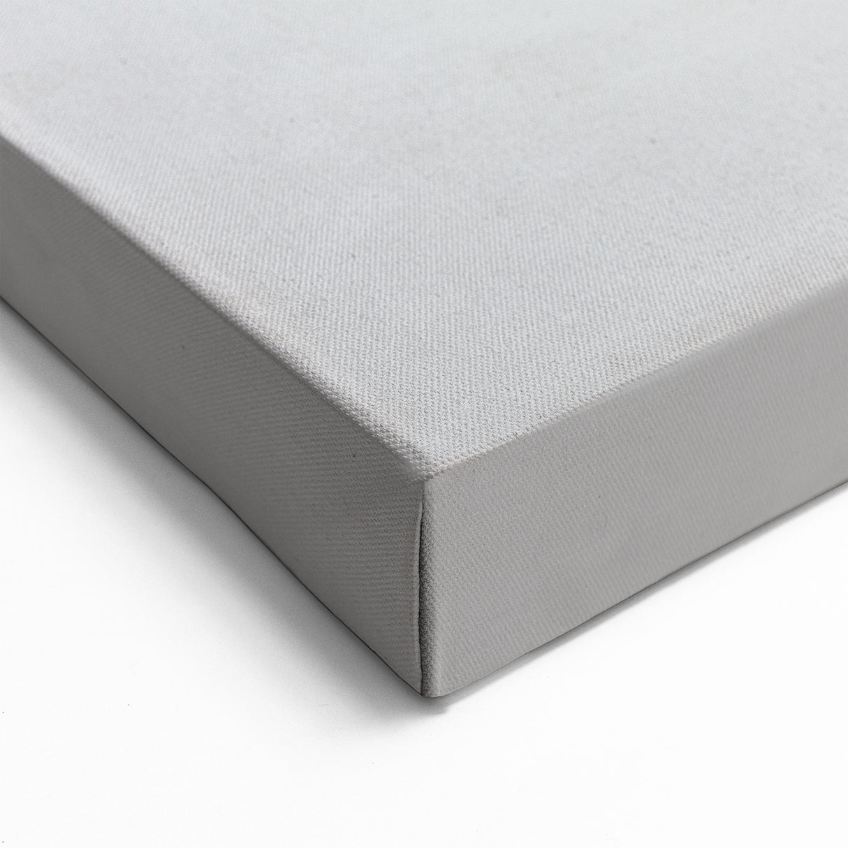 Ethereal Buffalo Art - Monochrome Bison Canvas Print for Modern Decor