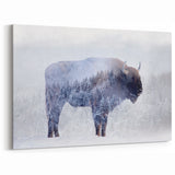 Winter Buffalo Art - Serene Bison Canvas Print with Forest Overlay