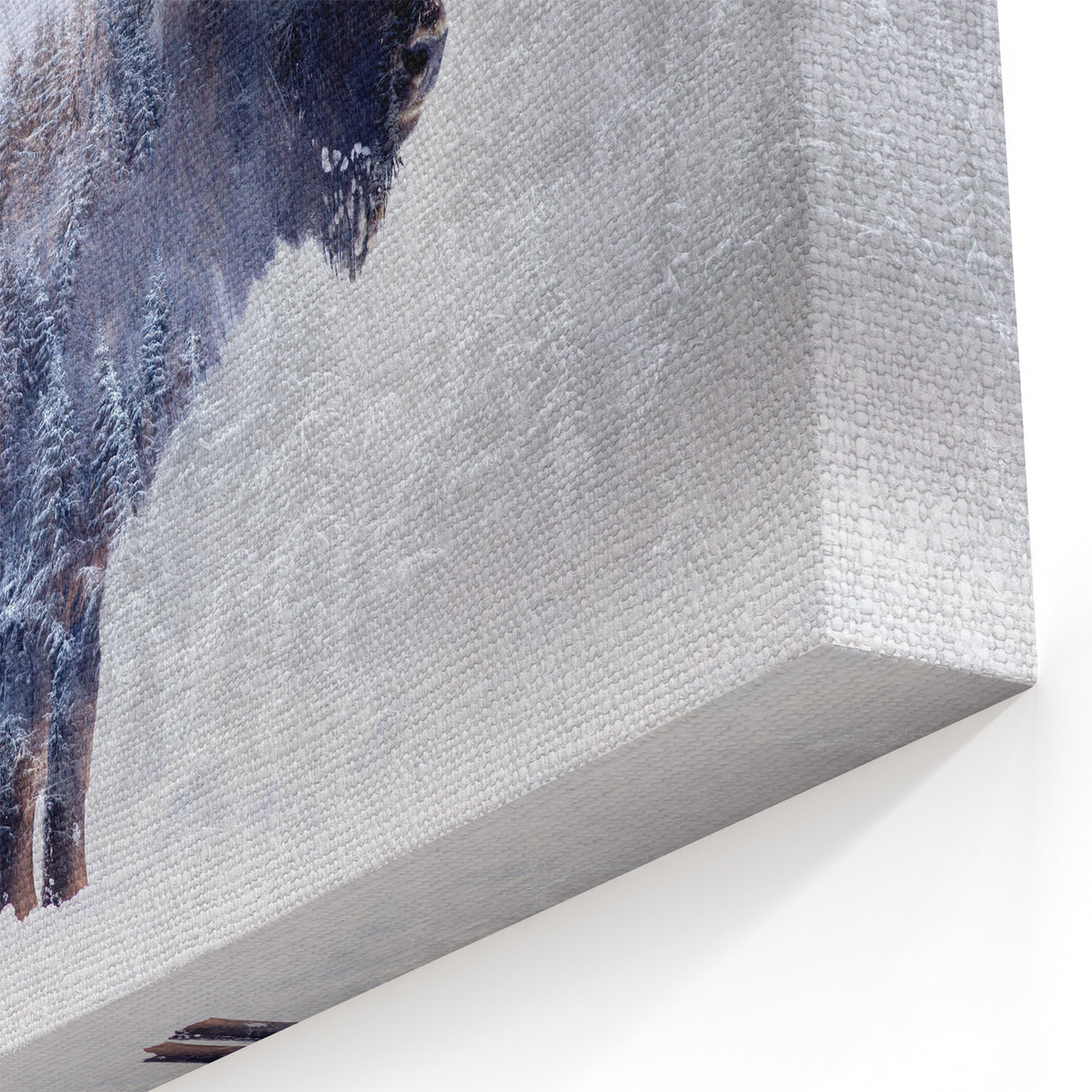 Winter Buffalo Art - Serene Bison Canvas Print with Forest Overlay