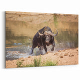 Powerful Buffalo Art - Dynamic Bison Canvas Print for Rustic Decor