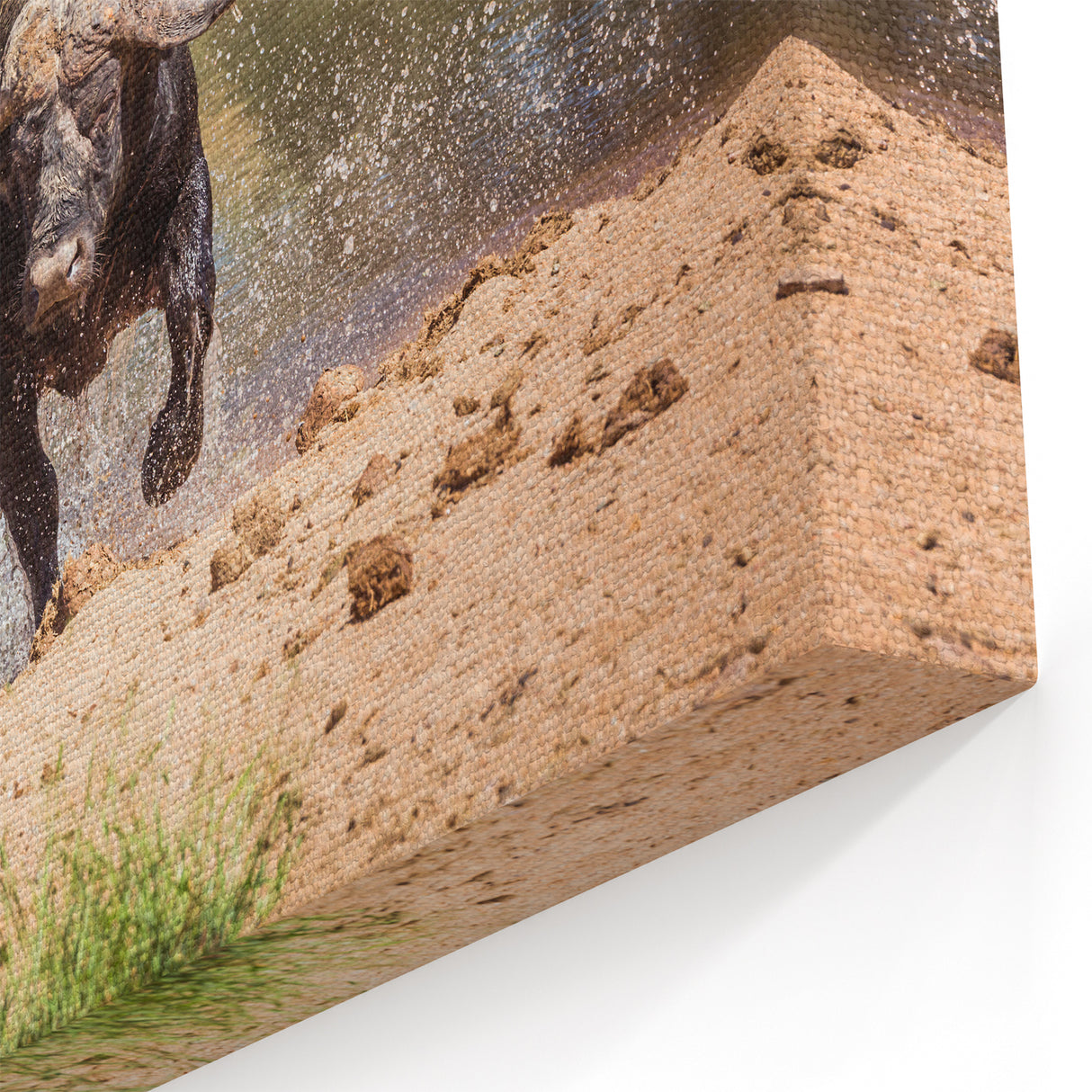 Powerful Buffalo Art - Dynamic Bison Canvas Print for Rustic Decor