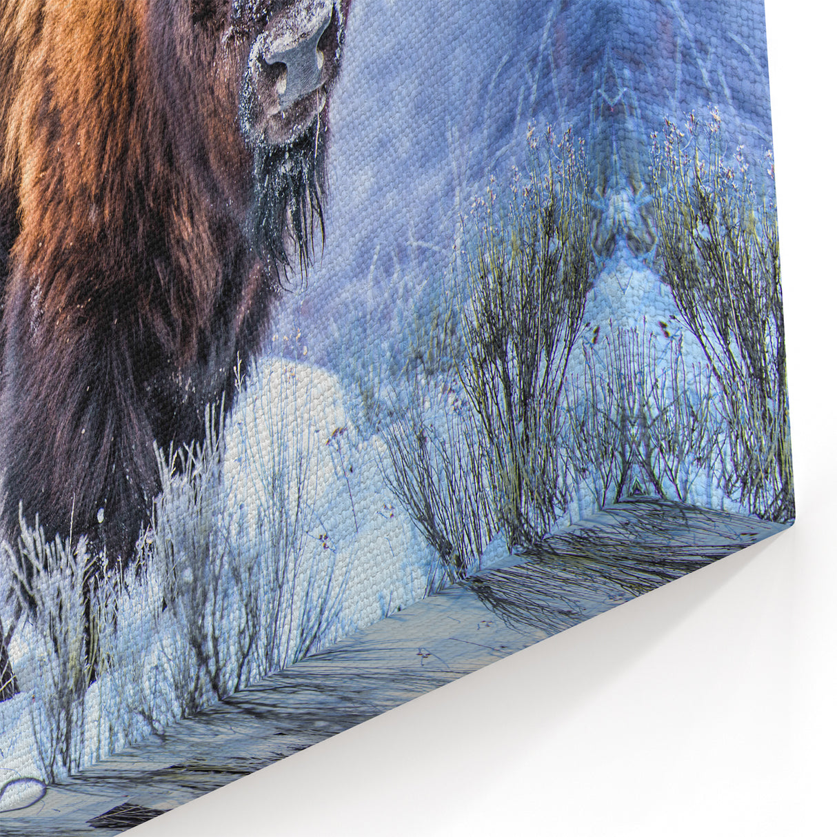 Winter Bison Art - Majestic Buffalo Canvas Print for Rustic Decor