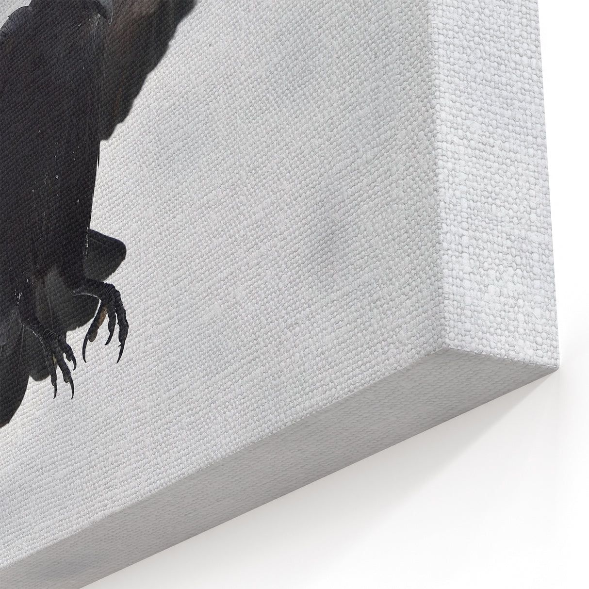 Majestic Crow Wall Art - Gothic Crow Canvas, Raven Photography Decor