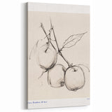 Elegant Apple Sketch - Minimalist Modern Simple Abstract Wall Art