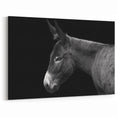 Elegant Donkey Profile - Black and White Canvas Art for Sophisticated Decor