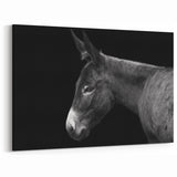 Elegant Donkey Profile - Black and White Canvas Art for Sophisticated Decor