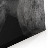 Elegant Donkey Profile - Black and White Canvas Art for Sophisticated Decor