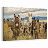 Herd of Donkeys in the Wild - Rustic Canvas Art for Farmhouse Decor