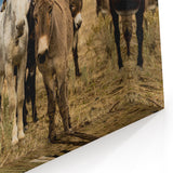 Herd of Donkeys in the Wild - Rustic Canvas Art for Farmhouse Decor