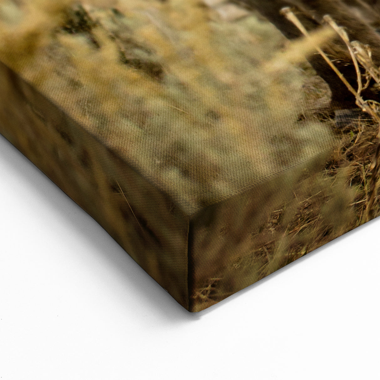 Herd of Donkeys in the Wild - Rustic Canvas Art for Farmhouse Decor