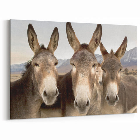 Charming Donkey Wall Art - Rustic Wildlife Canvas & Framed Print
