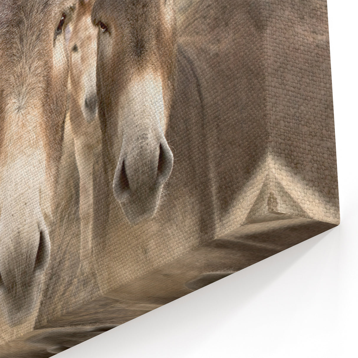 Charming Donkey Wall Art - Rustic Wildlife Canvas & Framed Print