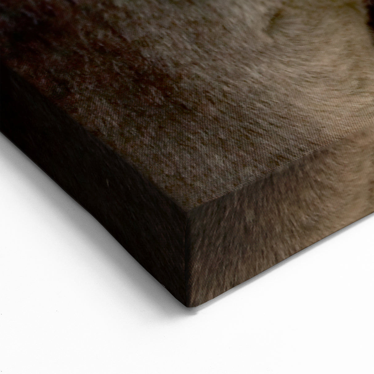 Charming Donkey Wall Art - Rustic Wildlife Canvas & Framed Print