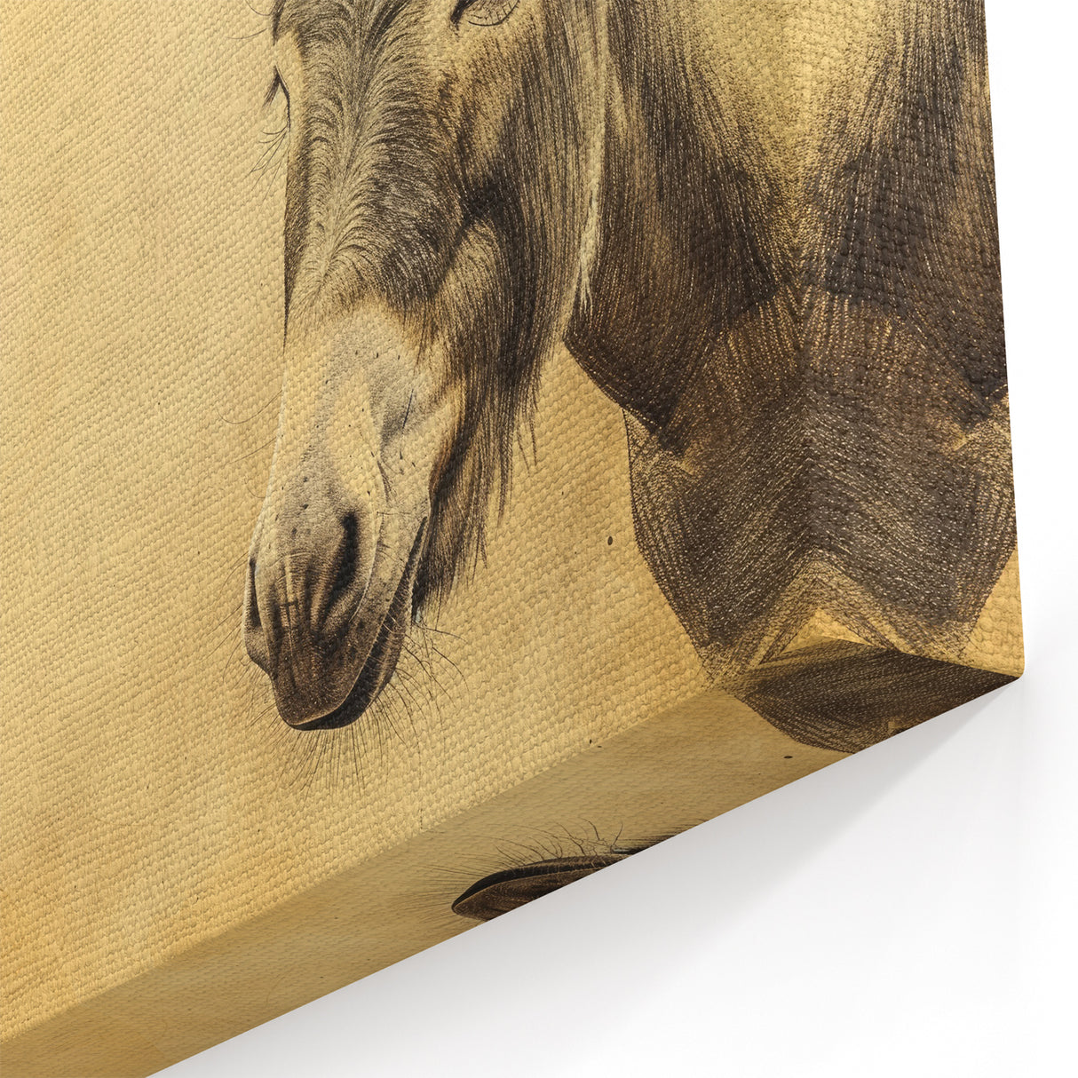 Elegant Donkey Sketch Art - Minimalist Farmhouse Wall Decor