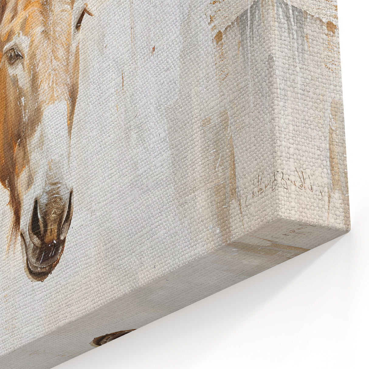 Abstract Donkey Canvas Print - Modern Farmhouse Wall Art Decor