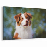 Cute Australian Shepherd Wall Art - Australian Shepherd Canvas Decor