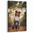 Stunning Australian Shepherd Canvas - Australian Shepherd Wall Decor