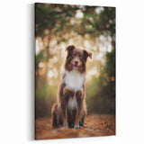 Stunning Australian Shepherd Canvas - Australian Shepherd Wall Decor