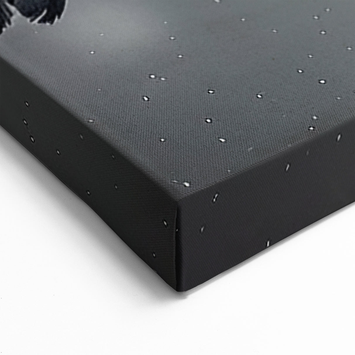 Mystical Raven in Flight - Elegant Crow Silhouette at Sunrise