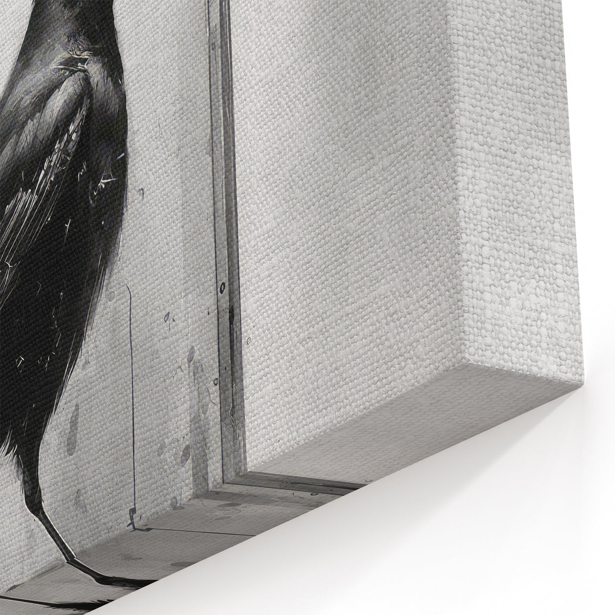 Gothic Raven Art - Crow in Glass Dome with Dark Drips