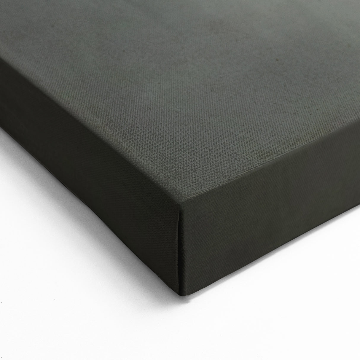 Misty Raven Art - Solitary Crow Perched in a Foggy Landscape