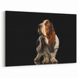 Charming Basset Hound Wall Art - Basset Hound Print for Dog Lovers