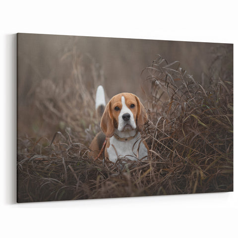 Adorable Basset Hound Wall Art - Basset Hound Print for Nature Lovers