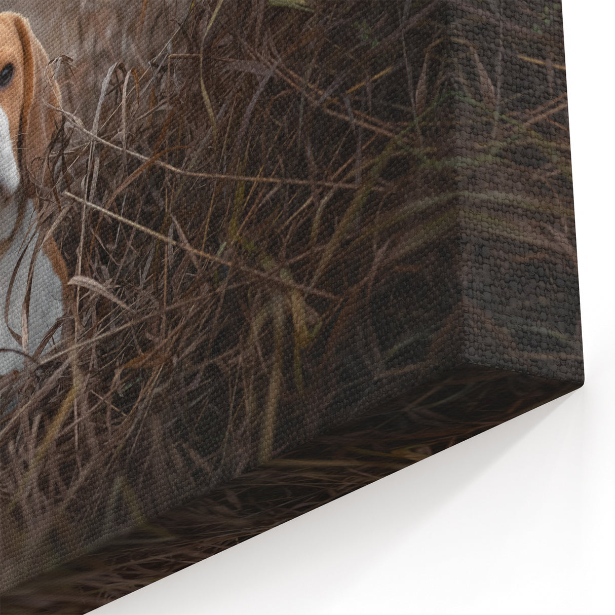 Adorable Basset Hound Wall Art - Basset Hound Print for Nature Lovers