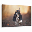 Playful Basset Hound Wall Art - Basset Hound Print for Pet Lovers