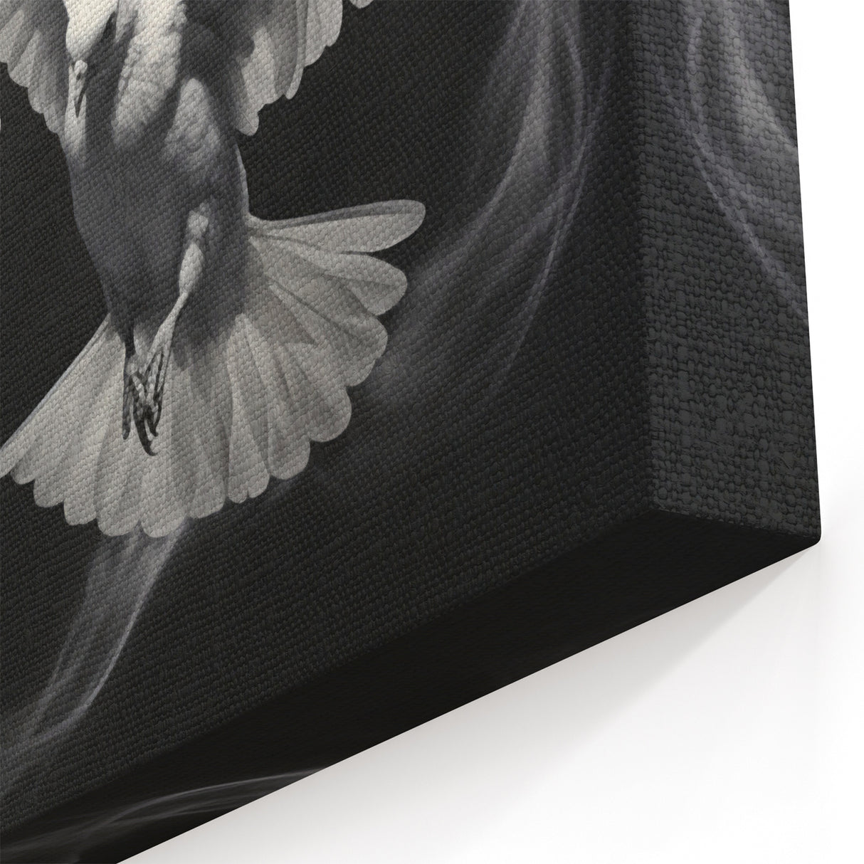 Majestic Doves Wall Art - Stunning Black and White Dove Canvas Decor