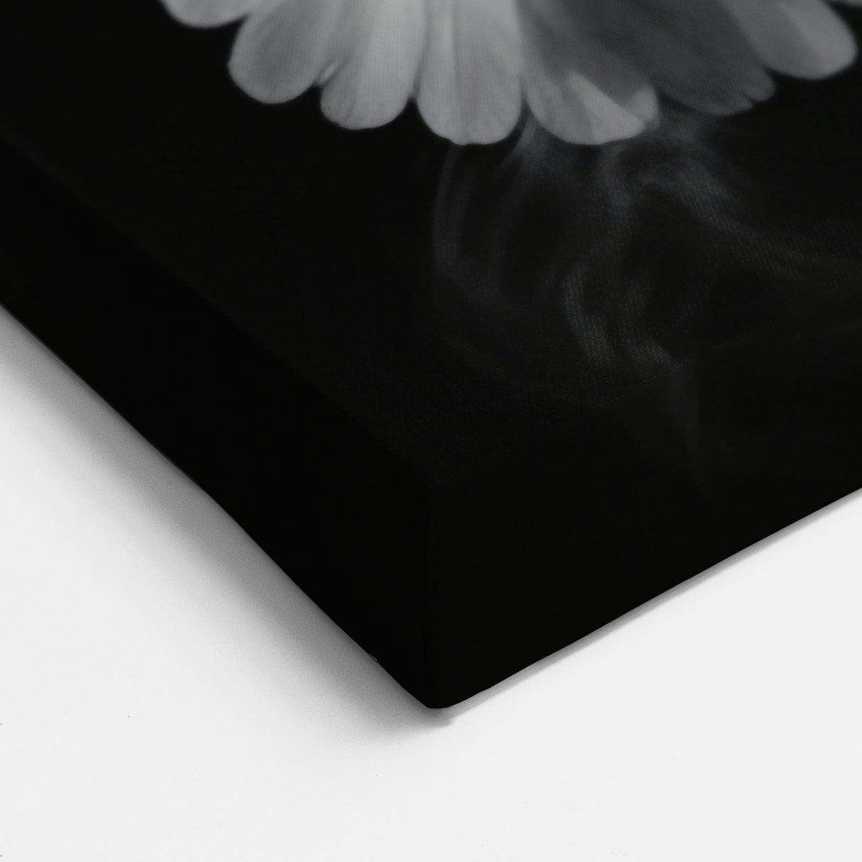 Majestic Doves Wall Art - Stunning Black and White Dove Canvas Decor