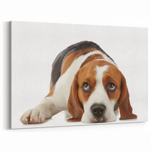 Cute Beagle Wall Art - Beagle Canvas Art for Dog Lovers - Beagle Decor