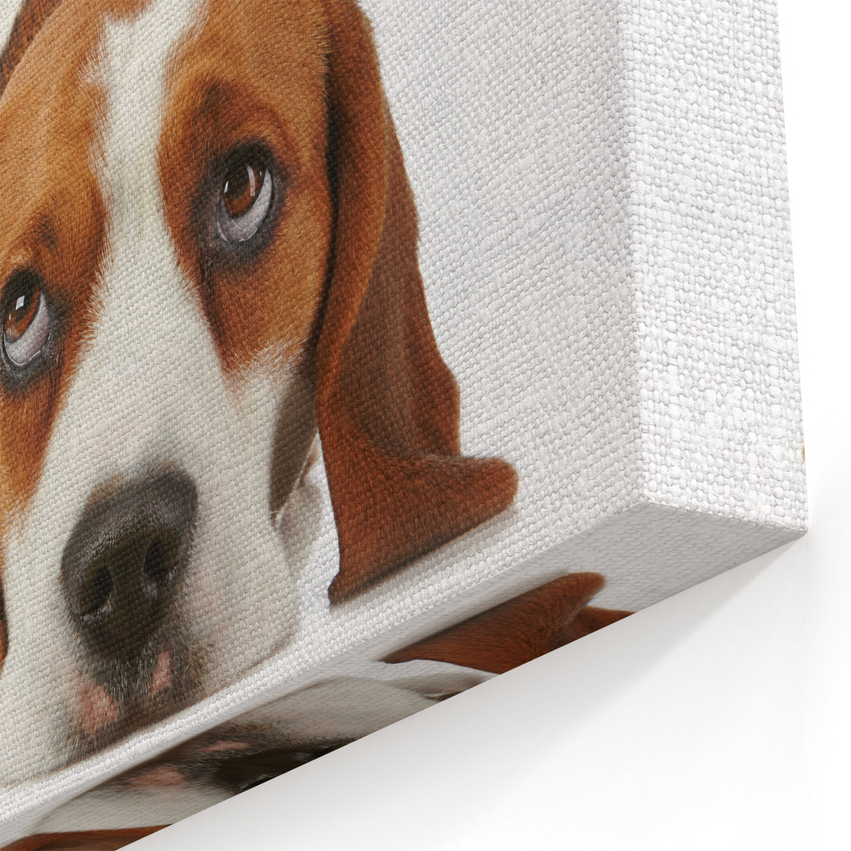 Cute Beagle Wall Art - Beagle Canvas Art for Dog Lovers - Beagle Decor