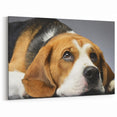 Beagle Wall Art - Thoughtful Beagle Canvas Print for Dog Lovers - Decor