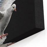 Majestic Dove Wall Art - Striking Dove Canvas for Elegant Decor