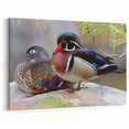 Stunning Wildlife Duck Wall Art - Vibrant Duck Canvas Art Print Decor