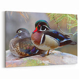 Stunning Wildlife Duck Wall Art - Vibrant Duck Canvas Art Print Decor