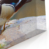 Stunning Wildlife Duck Wall Art - Vibrant Duck Canvas Art Print Decor