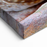 Stunning Wildlife Duck Wall Art - Vibrant Duck Canvas Art Print Decor