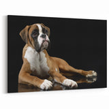 Elegant Boxer Wall Art - Cute Boxer Print - Timeless Dog Canvas Decor